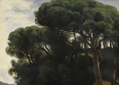 Alexandre Calame, Pins au bord de mer, 1865, huile sur papier monté sur carton