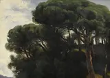 Alexandre Calame, Pins au bord de mer, 1865, huile sur papier monté sur carton