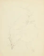 Albert Edgar Yersin, Paysage de montagne, 1980, crayons sur papier