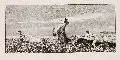 Max Klinger, Verfolgter Centaur, 1881, Aquatintaradierung