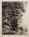 Karl Quarck, Park