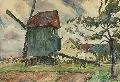 Wiederhold Frank, Bockwindmühle, 1943, Aquarell