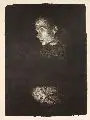 Arbeiterfrau im Profil by Käthe Kollwitz, 1903, Lithographie auf gelblichem Bütten, sold Sep 2007