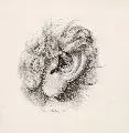 Ohr by Johann Heinrich Schilbach, Graphitzeichnung, sold Jun 2007