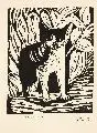 Pol Cassel, Katzentier, 1929, Linolschnitt auf chamoisfarbenem Papier