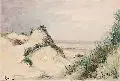 Anna Freifrau von Damnitz, Dünenstrand bei Knocke, Belgien, 1912, Aquarell