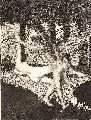 Max Klinger, Zelt, I. Nr. 8 - Vergewaltigung, 1915, Aquatintaradierung