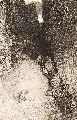 Rudolf Jettmar, Felsschlucht, Um 1905, Radierung