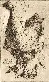 Richard Müller, Huhn