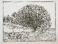 Erhard Dörner, Landschaft, Holzschnitt auf Japanpapier