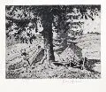Hans Thoma, Sägemühle in Falkau, 1898, Radierung in Grünschwarz