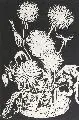 Pol Cassel, Stilleben mit Löwenzahn, 1929, Linolschnitt