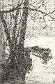 Walter Zeising, Paris - An der Seine, 1907, Radierung