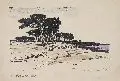 Otto Altenkirch, Kiefernlandschaft am Hügel