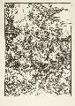 Die Apokalyptischen Reiter by Albrecht Durer, Um 1496, Holzschnitt, sold Jun 2006