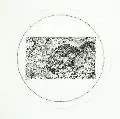 Alexander Olbricht, Adler, 1977, Radierung (?)