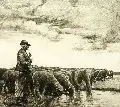 Georg Jahn, Schäfer mit seiner Herde