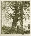 Robert Sterl, Schäfer mit seiner Herde unter Bäumen, Um 1912, Lithographie