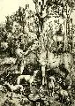 Albrecht Durer, Der heilige Eustachius (Hubertus)