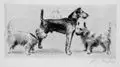 Hundegesellschaft by Richard Müller, 1922, Radierung, sold Jul 2005