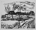 Erhard Hippold, Feldarbeit