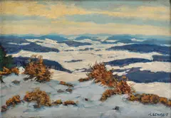 Karel Schadt, Zimná krajina, Okolo 1920, Olej na kartóne