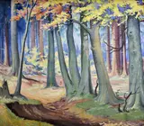 Karol Ondreička, Les