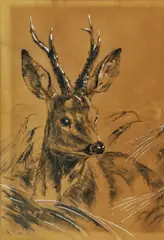 Karl Sovanka, Srnec, okolo 1930, pastel,uhoľ na papieri