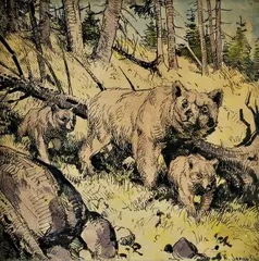 Karl Sovanka, Medvedica s mláďatami, okolo 1925, tuš, akvarel na papieri