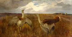 Gabriel Modrovich, Zo Žitného ostrova, okolo 1900, olej na plátne