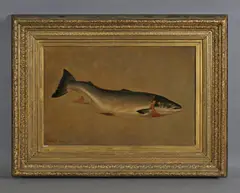 Walter Tomlinson, Study of a rainbow trout, 1886, oil on canvas