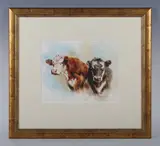 Mandy Shepherd, Cattle, gouache