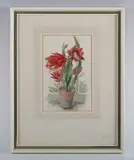 Stanley Roy Badmin, Study of Lillies'; 'Epiphylum'; 'Camelia'; 'Lillium spec Grand Commander', four