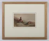 Grouse on a moor by Archibald Thorburn, watercolour, sold Nov 2024
