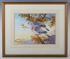 Richard Robjent, Wood pigeons, watercolour