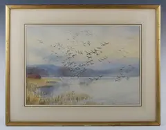 Roland Green, Galton Park’: Mallard in flight, watercolour