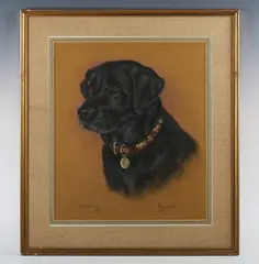 Marjorie Cox, Tarka’; ‘Seamus’: portraits of a black and a golden labrador, a pair, pastel