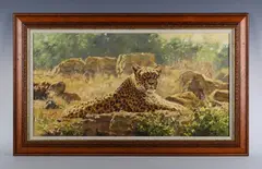 Tony Forrest, Leopard in the sun, oil on canvas