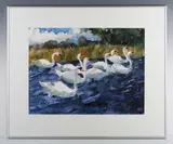 Andy Waite, Swans, watercolour