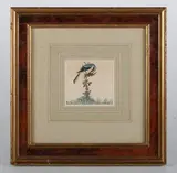 Joseph Wolf, Study of a great grey shrike, watercolour