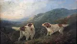 George Armfield, Two Sporting Dogs in a Highland Landscape