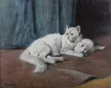 Arthur Heyer, White Turkish Angora Cat and Kitten, oil on canvas