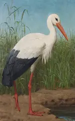 Henry Stacy Marks, White Stork in a Wetland Landscape, oil on canvas