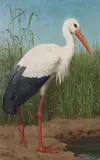 Henry Stacy Marks, White Stork in a Wetland Landscape, oil on canvas