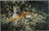 David Shepherd, Siberian Tiger, 2000, oil on canvas