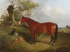 John Duval, Horse and Dog in a Landscape, oil on canvas