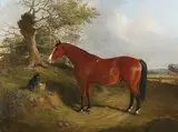 John Duval, Horse and Dog in a Landscape, oil on canvas