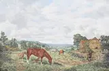 Brian Tovey, From Weatheroak Hill, nr Wythall' (Horses in an Extensive Landscape), oil on canvas