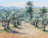 Lionel Aggett, Olive Grove, Umbria, pastel