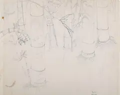 Eliot Hodgkin, Study of Bamboo, pencil with ink